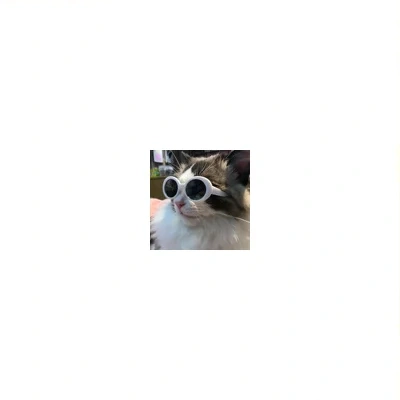 Pet Dog Cat Multi-color Sunglasses Cool Handsome Accessories