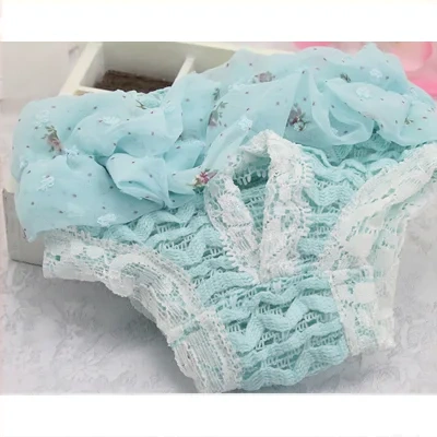 Female Dog Aunt Physiological Pants Panties