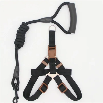 Pet Supplies Simple Dog Leash