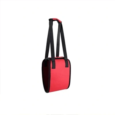 Dog leash auxiliary belt