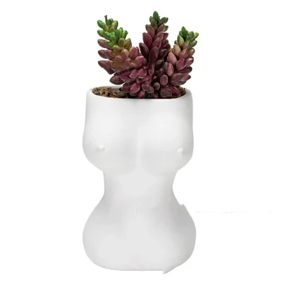 Flower Pots Decorative Ornaments Ceramic Crafts