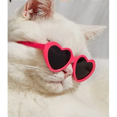 Doll Sunglasses Pet Toy Accessories