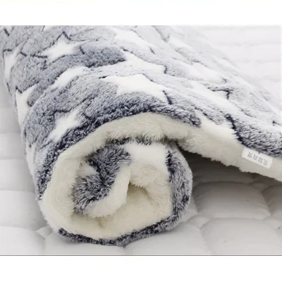 Thickened Blanket for Cats And Dogs