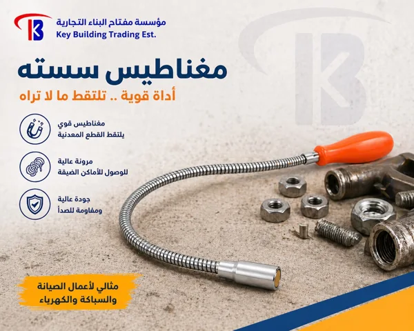 مغناطيس سسته